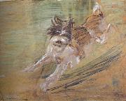 jumping Dog'Schlick (mk34)